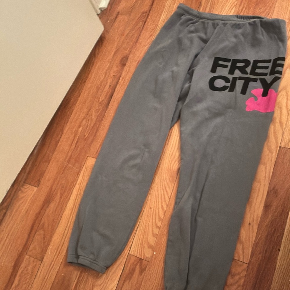 Free City Grey Sweatpants with Hot Pink Bird Never Worn